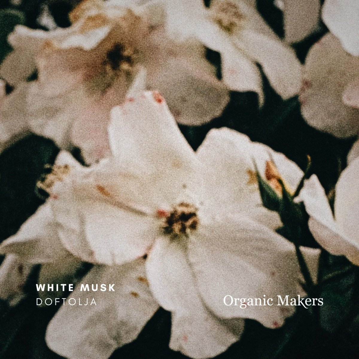 White Musk doftolja - Bild 2
